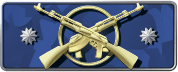 Master Guardian Elite